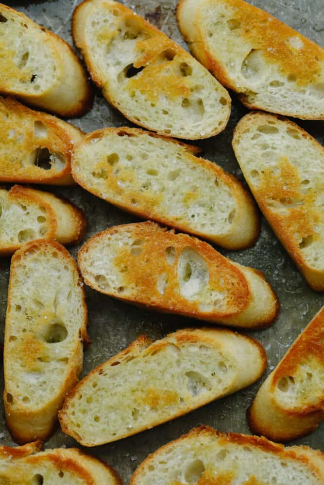 Slices of crostini without any toppings.