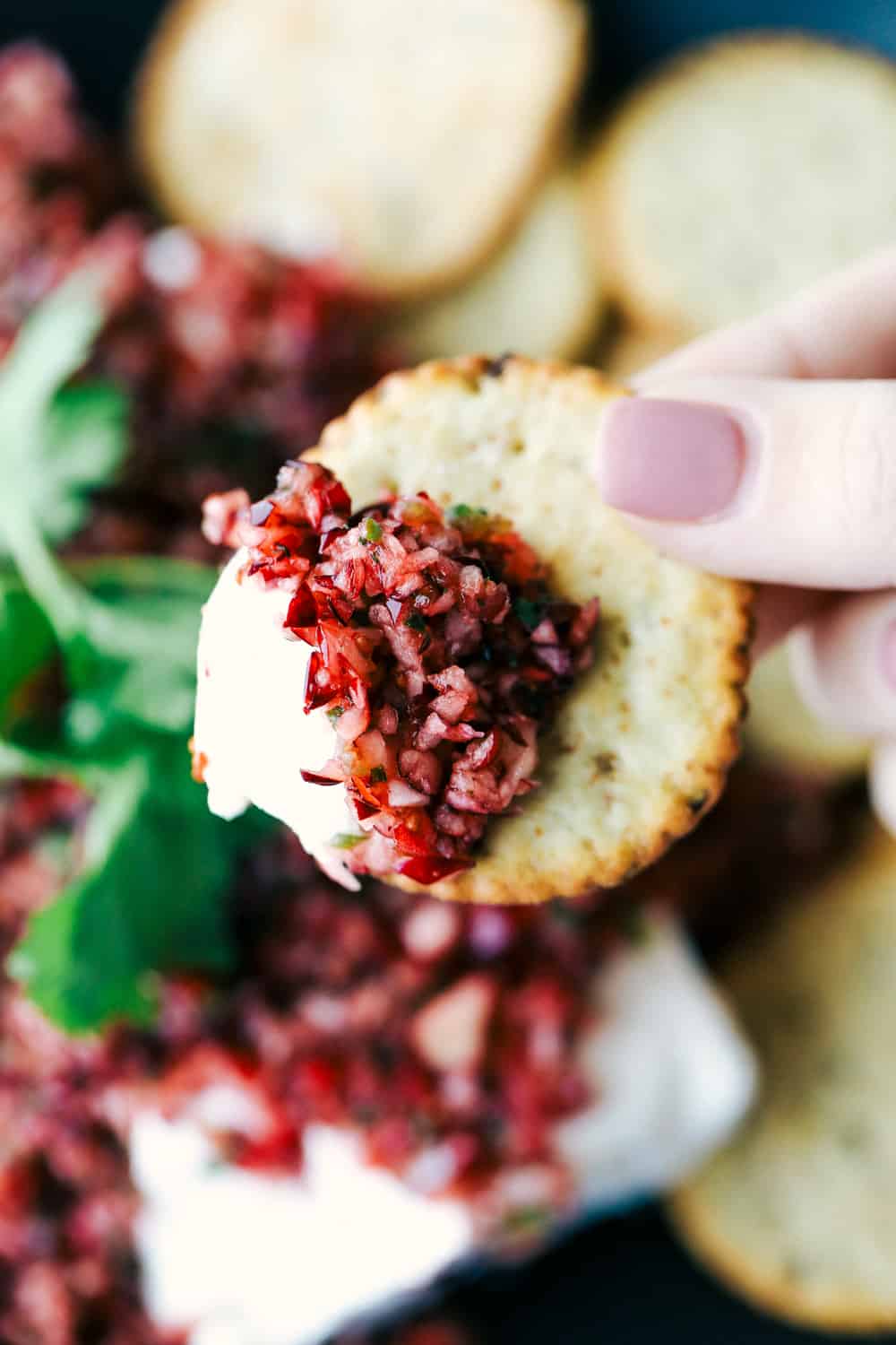 Cranberry salsa with cream cheese spread over a cracker.