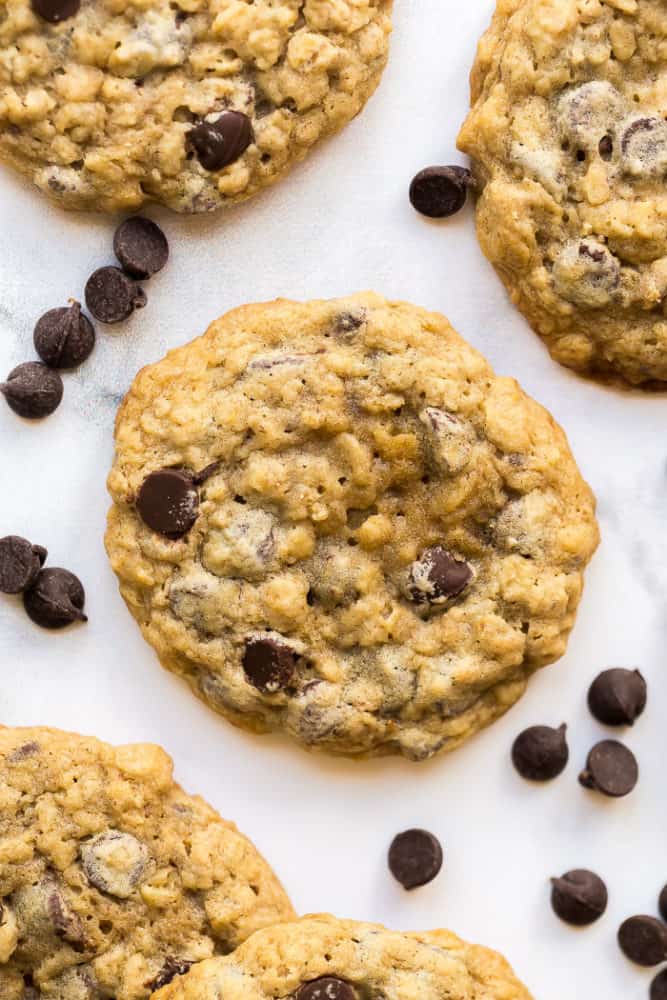 one oatmeal chocolate chip cookie close up