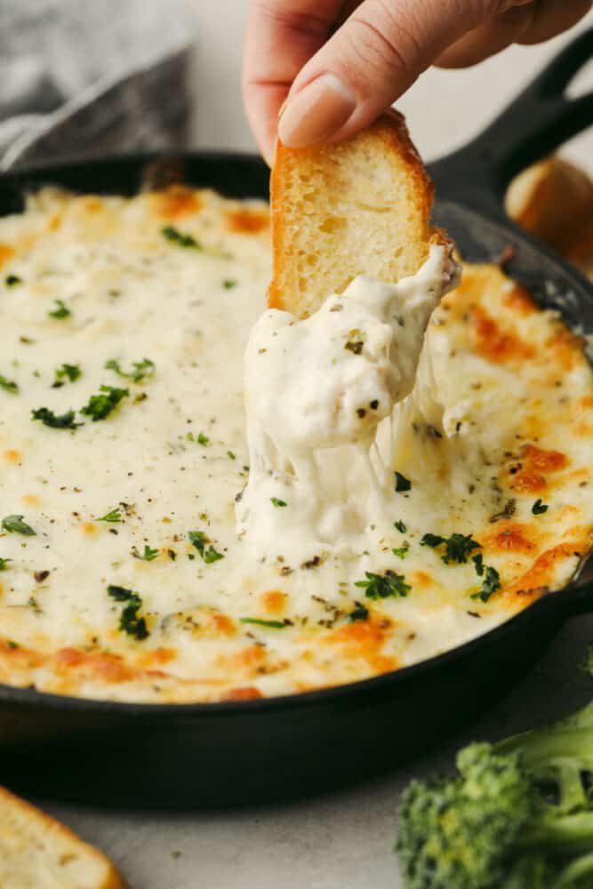 A crostini being dipped in chicken alfredo dip. 