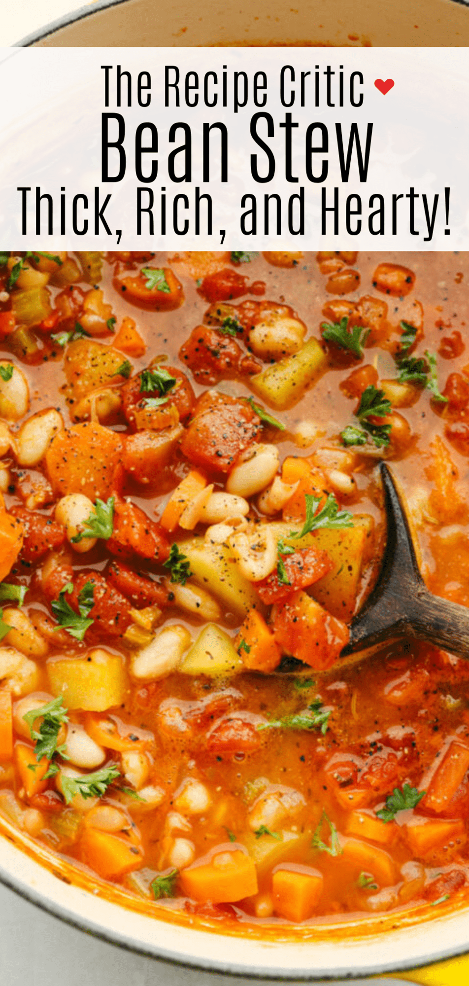 Thick Rich and Hearty Bean Stew Recipe